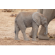 Foto auf Plexiglas - Baby Elefant