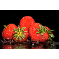 Foto auf Plexiglas - Erdbeeren