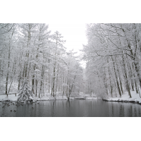 Foto auf Plexiglas - Winter