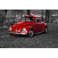 Foto auf Plexiglas - VW Käfer