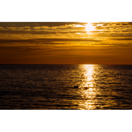 Foto auf Plexiglas - Sonnenuntergang am Meer