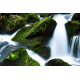 Foto auf Plexiglas - Wasserfall