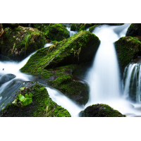 Foto auf Plexiglas - Wasserfall