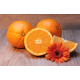 Foto auf Plexiglas - Orangen