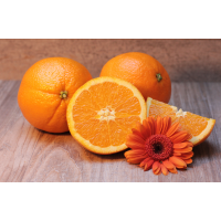 Foto auf Plexiglas - Orangen
