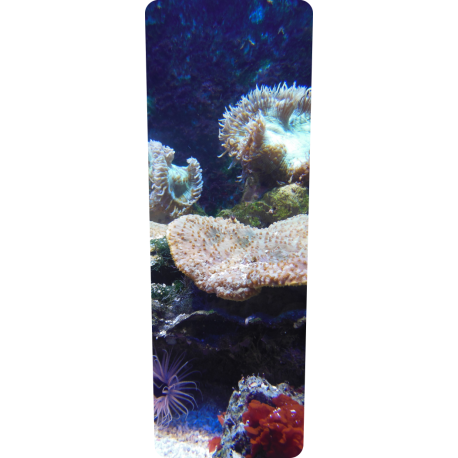 Mülltonnenaufkleber (Koralle)
