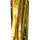 Mülltonnenaufkleber (Bambus)