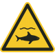 Schilder "Achtung Haie"