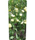 Mülltonnenaufkleber (Garten)
