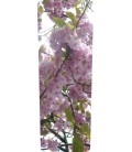Mülltonnenaufkleber (blühenden Baum)