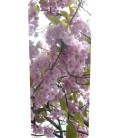 Mülltonnenaufkleber (blühenden Baum)