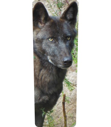 Mülltonnenaufkleber (Hund)