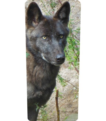 Mülltonnenaufkleber (Hund)