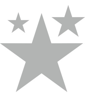 Weihnachtsdekorationsaufkleber (Silber Weihnachtssterne)