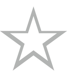 Weihnachtsdekorationsaufkleber (Silber Weihnachtsstern)