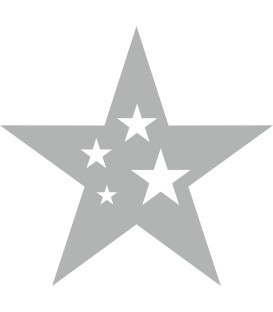 Weihnachtsdekorationsaufkleber (Silber Weihnachtsstern)