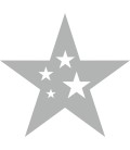 Weihnachtsdekorationsaufkleber (Silber Weihnachtsstern)
