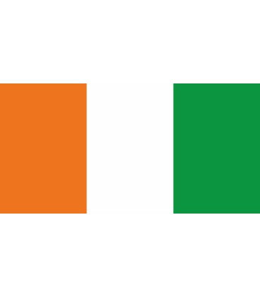 Flagge von Irland