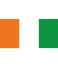 Flagge von Irland